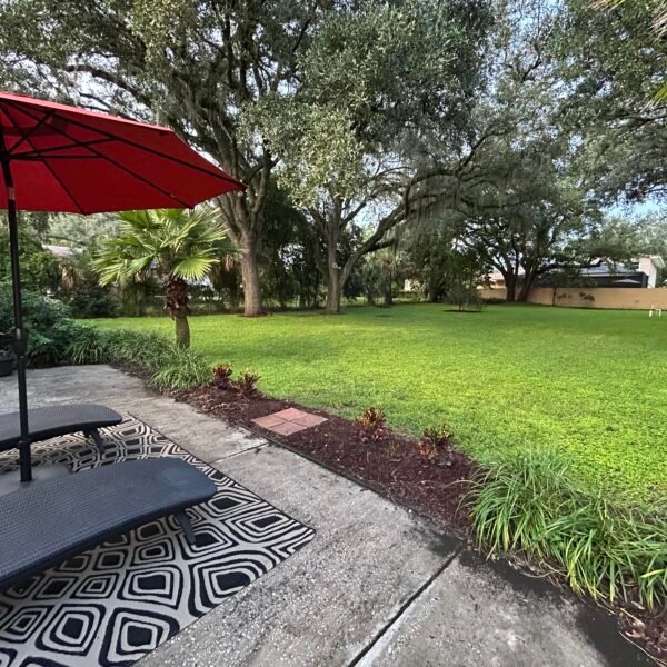 Magical Frequency Reset (September 12)